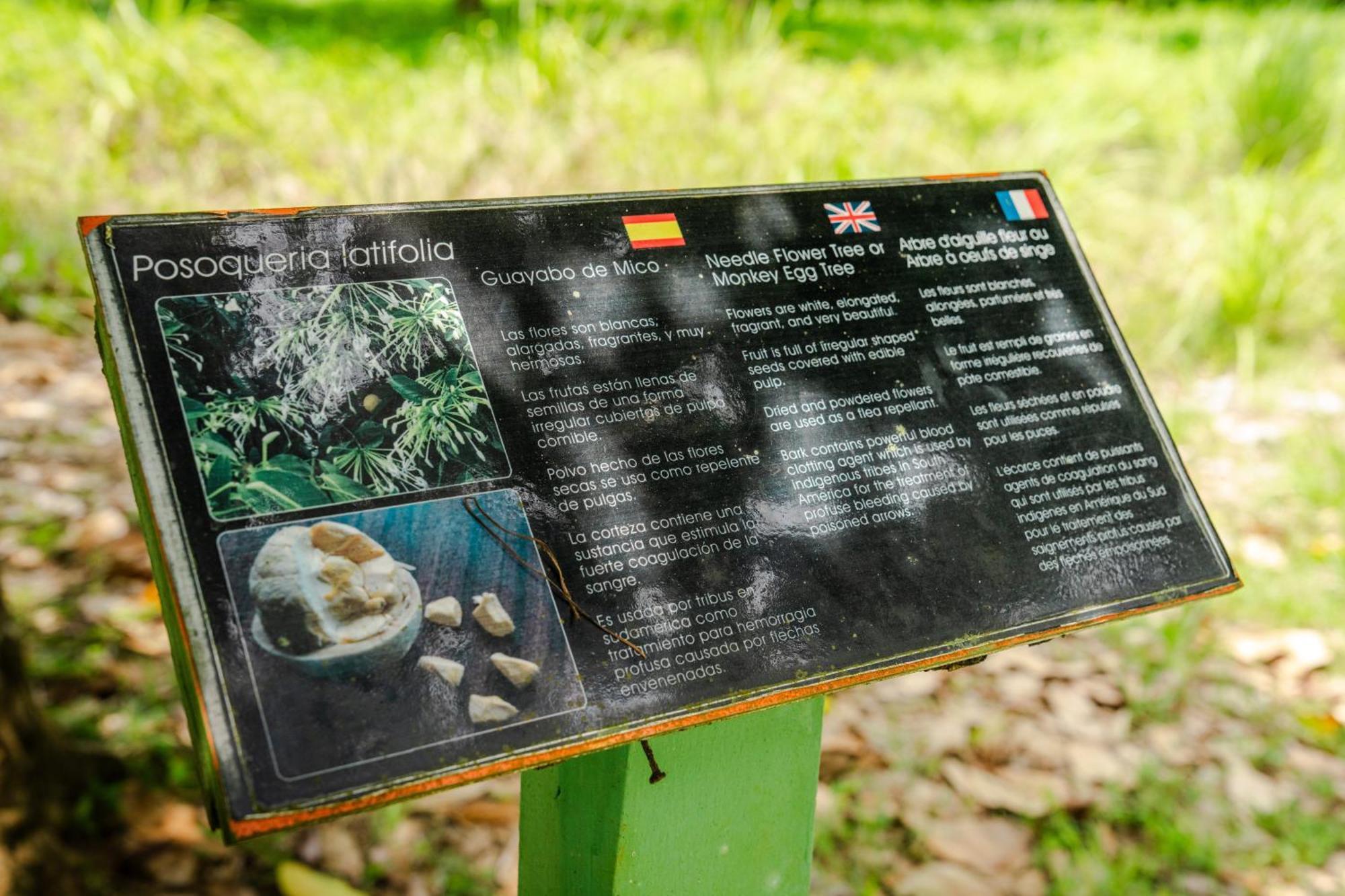 Hacienda Baru Villa Dominical Dış mekan fotoğraf