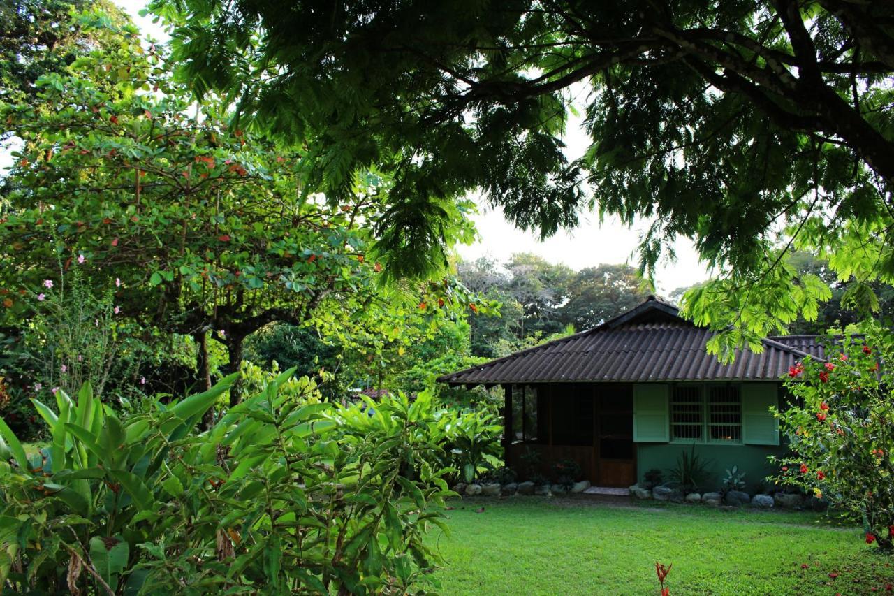Hacienda Baru Villa Dominical Dış mekan fotoğraf